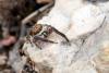 342841 – Photo : henri maleysson – France (13)